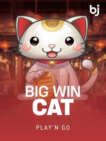 Big Win Cat game screenshot